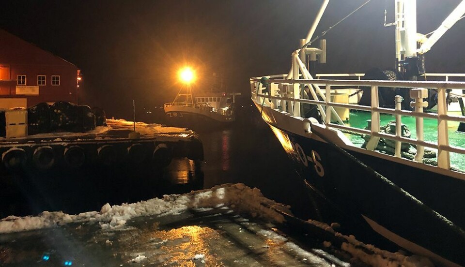 Eventyrlig rekefiske: Losset nesten fem tonn med reker på morgenkvisten