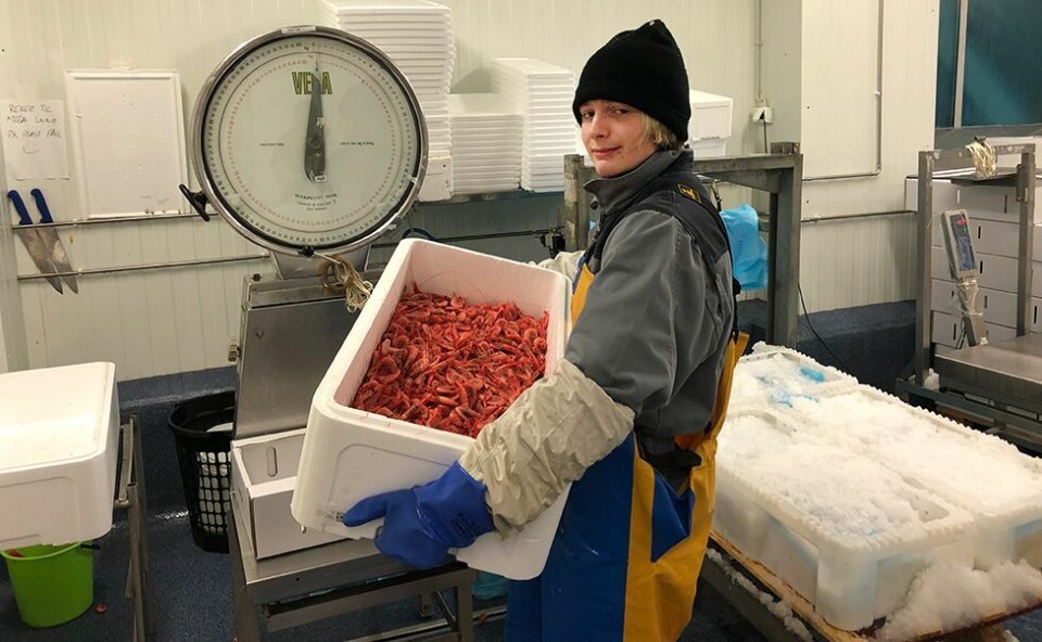 Eventyrlig rekefiske: Losset nesten fem tonn med reker på morgenkvisten