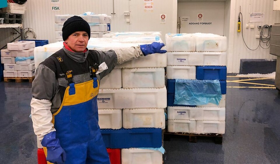 Eventyrlig rekefiske: Losset nesten fem tonn med reker på morgenkvisten