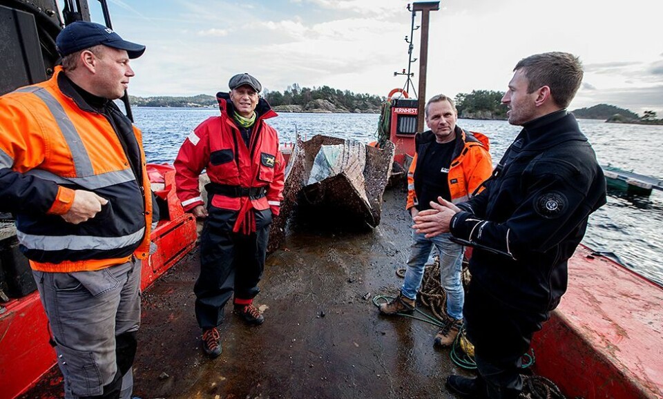 Ikke bare teiner som hentes opp av sjøen
