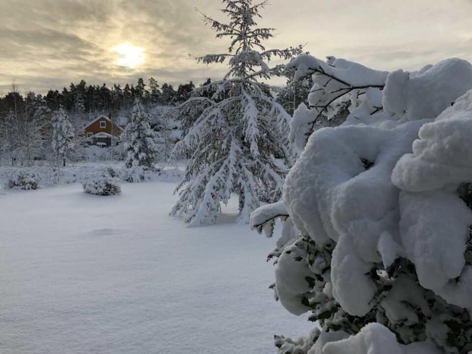 Lesernes bilder: På vei inn i en kaldere årstid