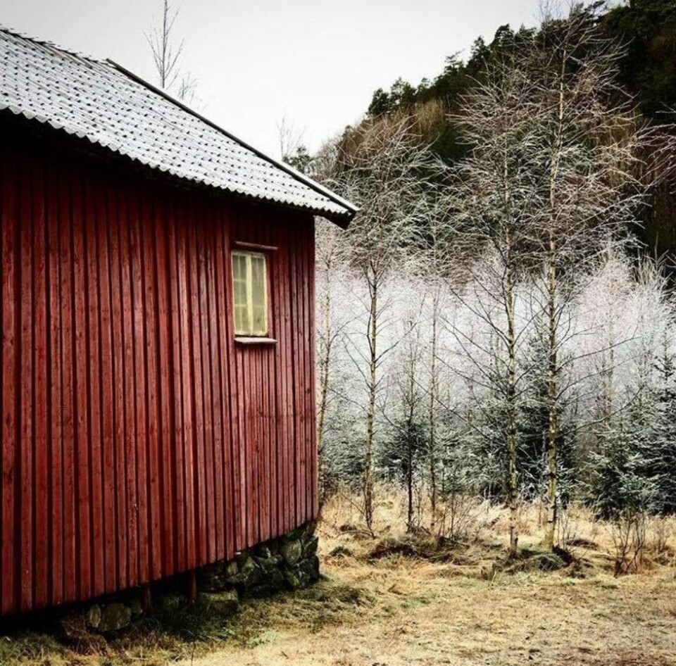 Lesernes bilder: På vei inn i en kaldere årstid