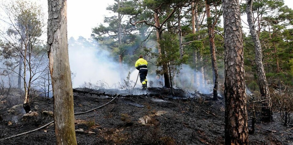 Totalforbudet mot aktivitet i skog og annen utmark oppheves