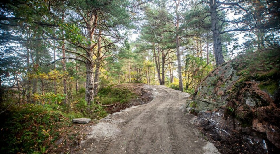 - Ser litt ille ut nå, blir bra