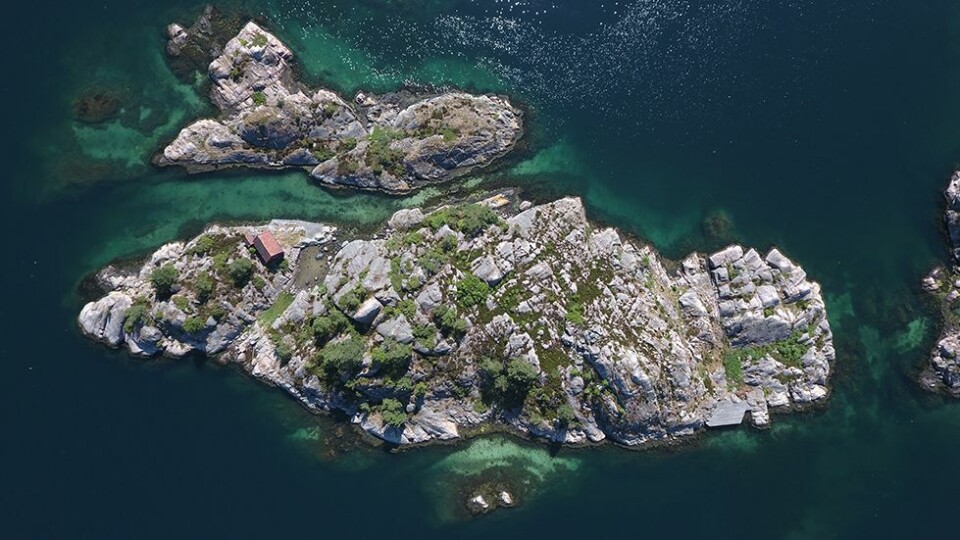 Kvalifiseringssenterets fotokonkurranse: Avstemningen er avsluttet