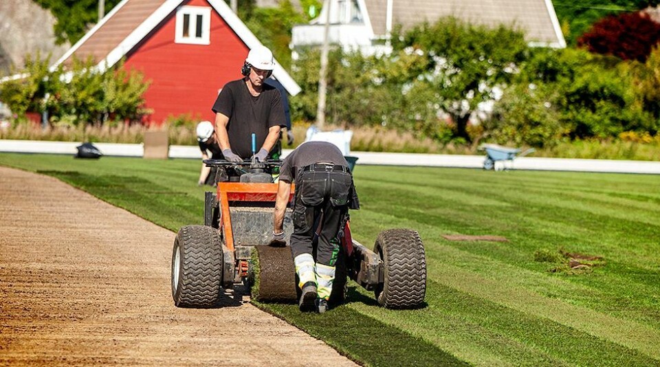 Anlegget skal ha seks 400 meter løpebaner, to arealer for 100 meter sprint og 110 meter hekk på nordre og søndre langside. Areal for kulestøt i østre sektor, kombinert diskos- og sleggebur med høyde på over syv meter i østre sektor, to tilløp for spydkast i vestre og østre sektor. I tillegg bygges to arealer for høydehopp i vestre og østre sektor samt en vanngrav til hinderløp i vestre sektor.
Artikkelen fortsetter under bildet.
Anleggsarbeidere fra Grasrota AS var onsdag i full gang med å legge gresset til nye Søgne stadion. (Foto: Nicolai Prebensen).
Naturgressbane
Det planlegges også to stavhoppkasser med samme tilløp i vestre sektor, to groper for lengdehopp og tresteg med sandfangerrister og samme tilløp på søndre langside, plassert på innsiden av løpebanen. I tillegg kommer en grop for lengdehopp med sandfangerrister til trening i vestre sektor. Innenfor dette bygges en naturgressbane med spilleflate maksimum 64 x 104 meter og tilfredsstillende sikkerhetssoner av naturgress og kunststoffdekke.