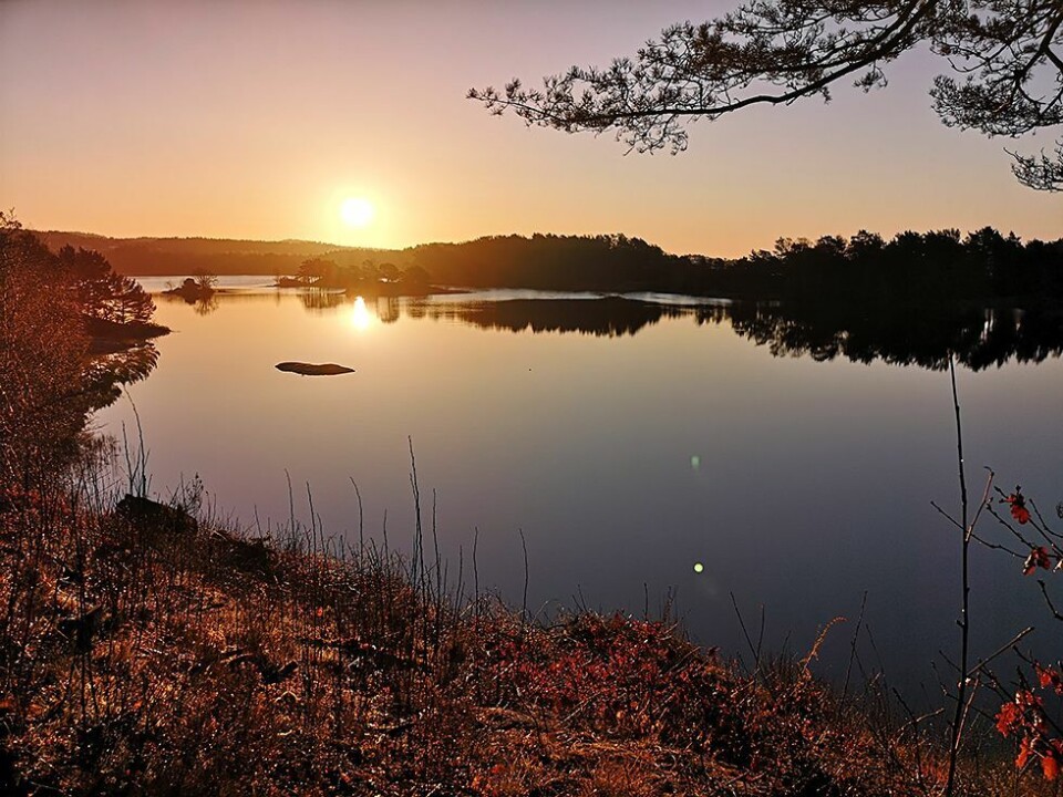 Se lesernes påskebilder