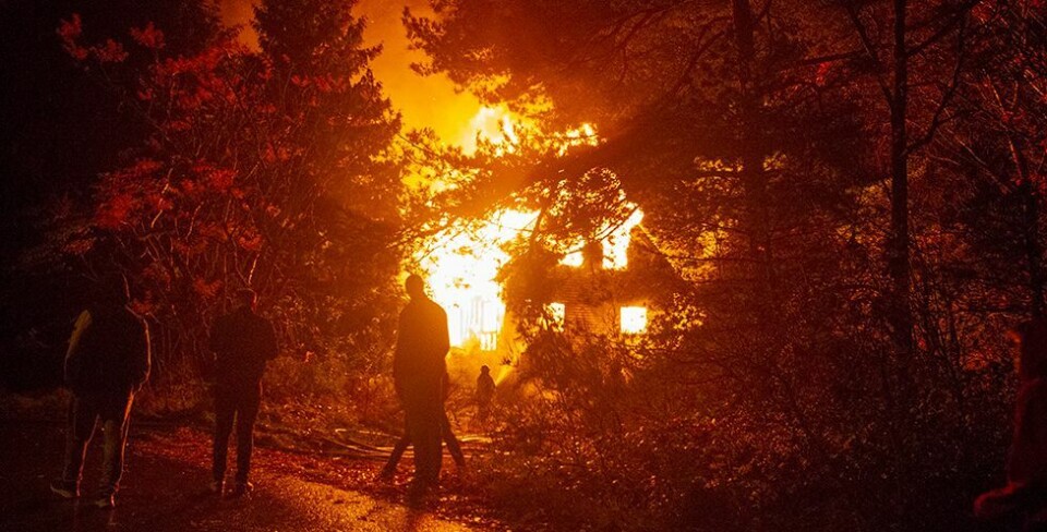Husbrann på Langenes: - Åstedet er sperret av og kriminalteknikere er varslet