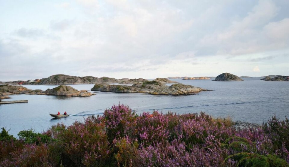 Sesongavslutning for lesernes sommerbilder