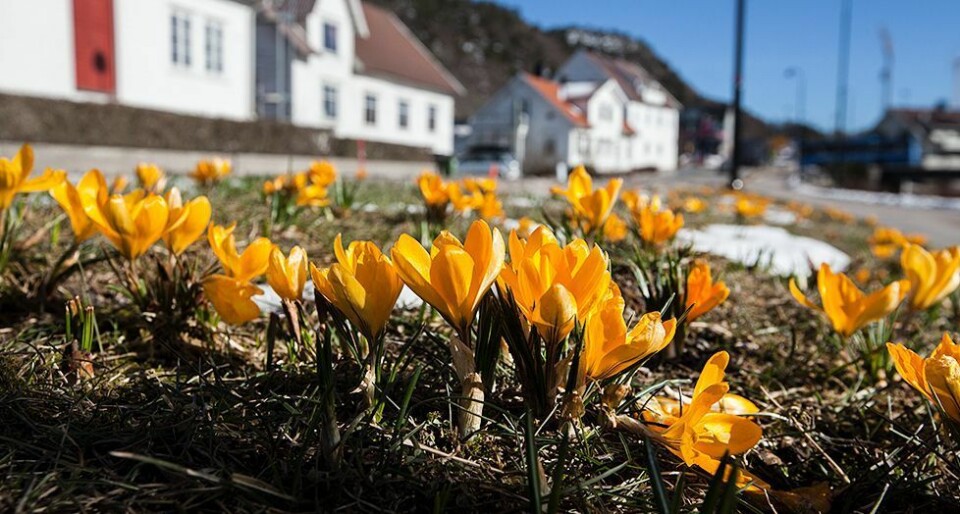 Meteorologene: Godvær fremover