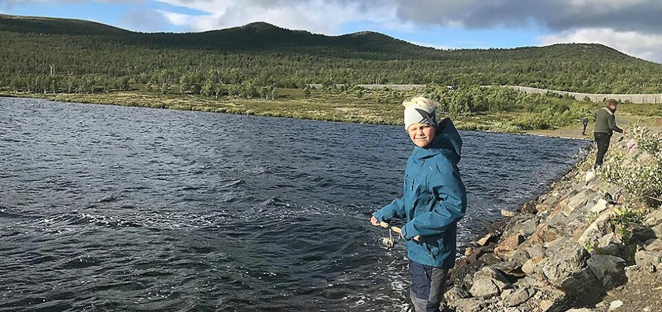 Med bobil på vei til Lofoten