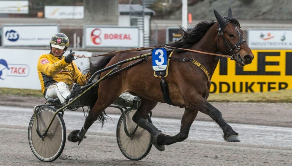 Jackpot-Tjomsland og ubeseiret Odin