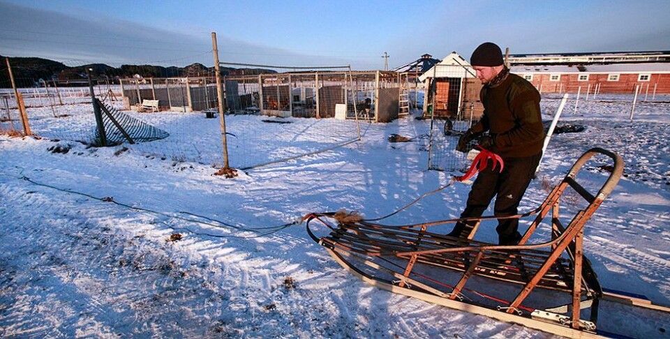 Bare «Varja» og «Ben» blir med