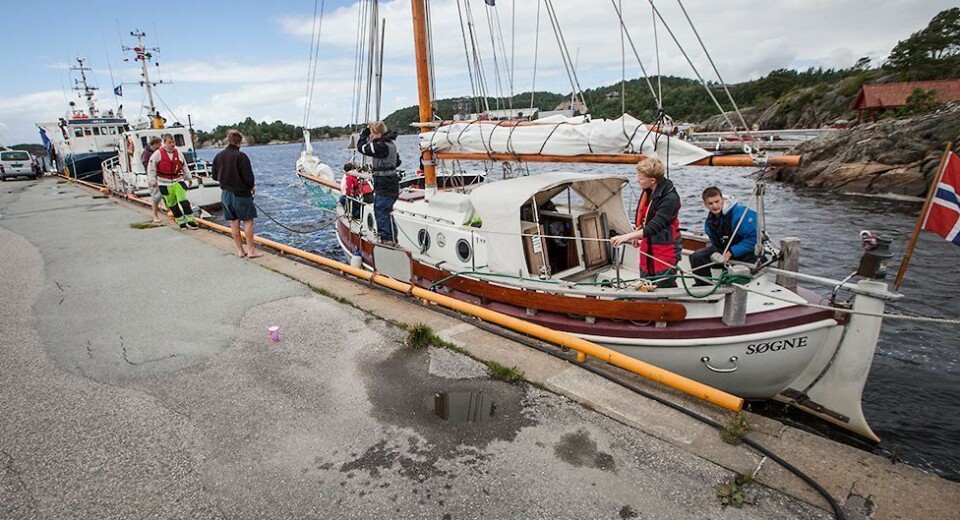Inviterer til alternativt 17. mai-tog nasjonaldagen