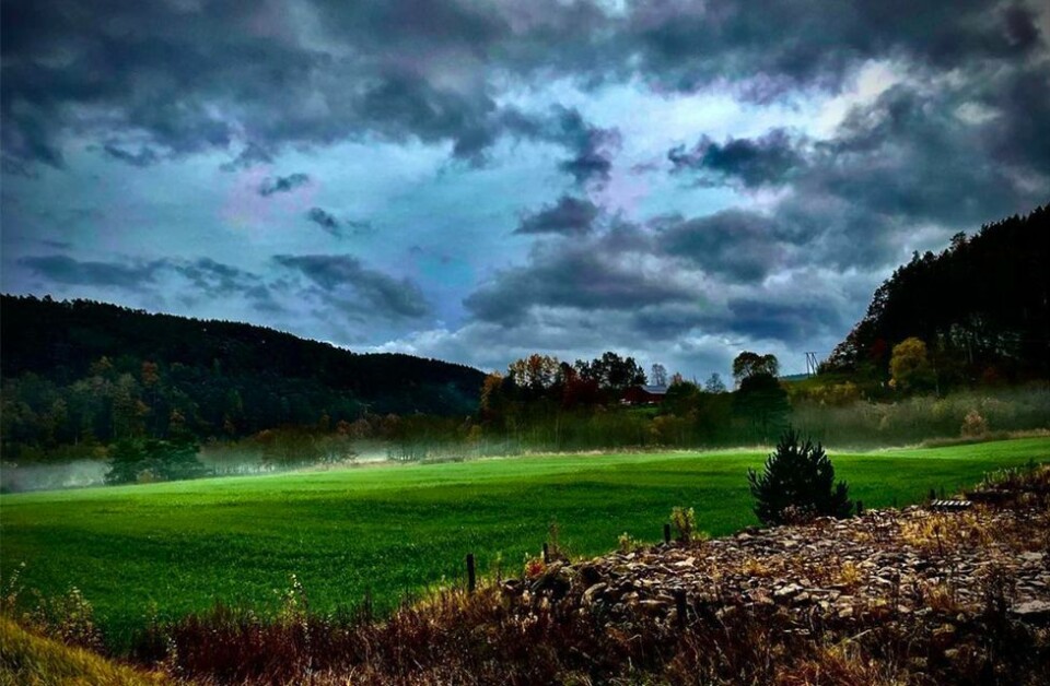 Se lesernes vakre høstbilder