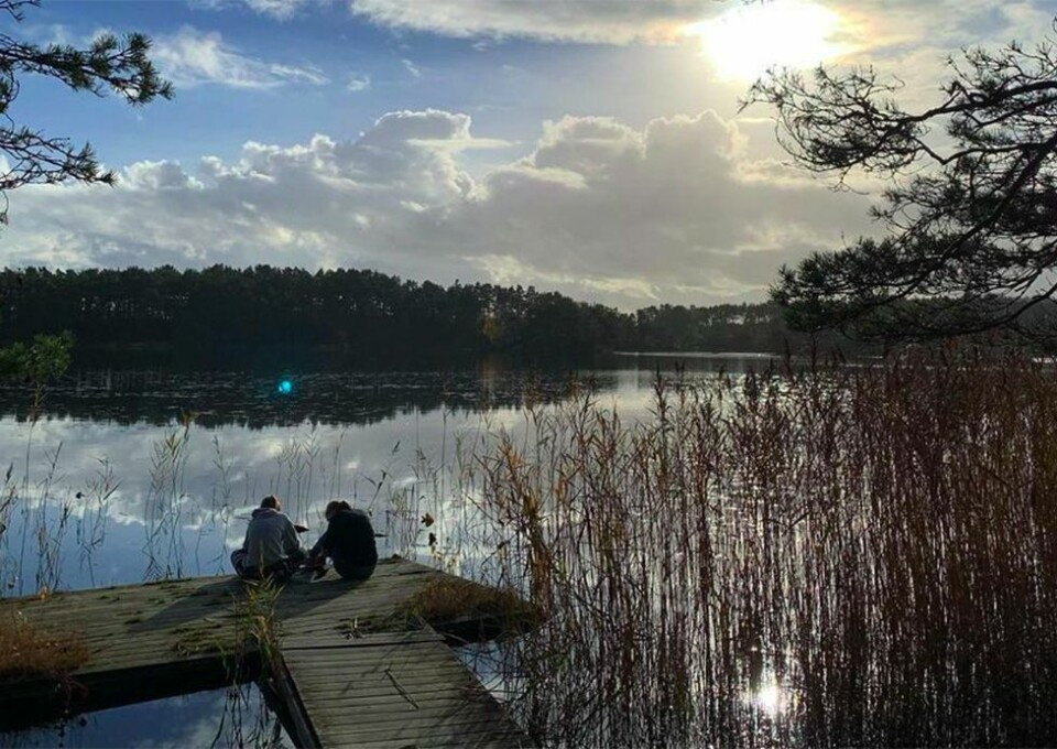 Se lesernes vakre høstbilder