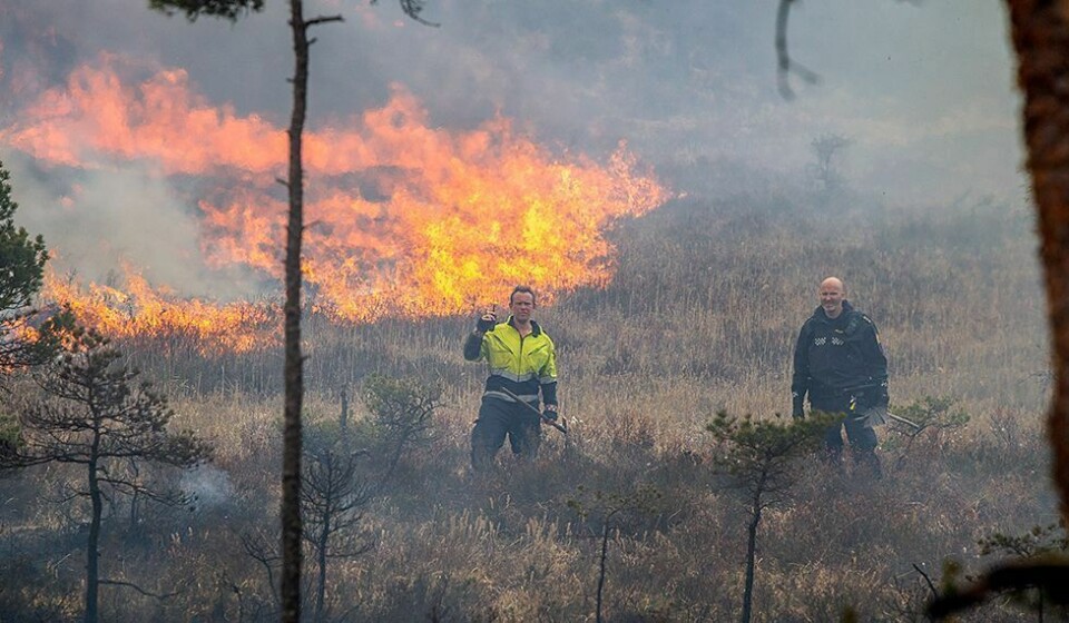 Oransje farevarsel for skogbrannfare: - Folk har vært flinke