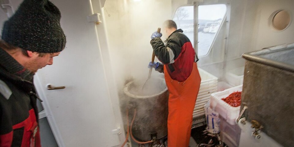 Starter fiskesalget allerede neste fredag