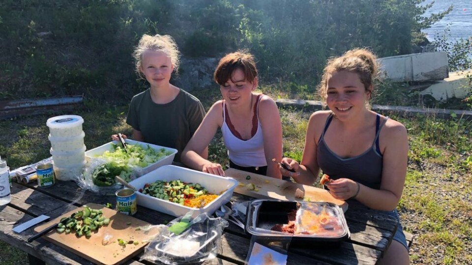 Sjøspeidere prydet Vestergabet med seilskuter
