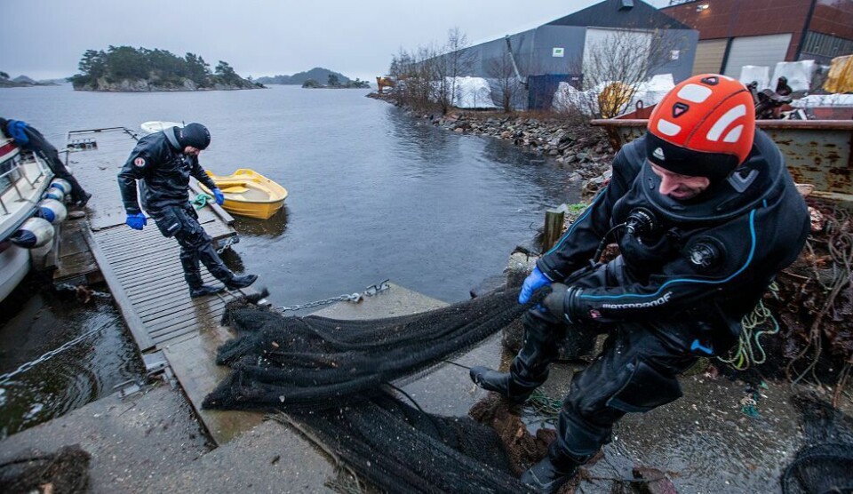 Søgne Dykkerklubb til Flekkerøya på Strandryddedagen