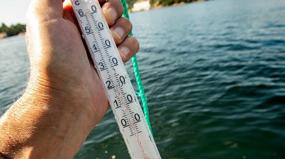 Endelig 20 grader i sjøen
