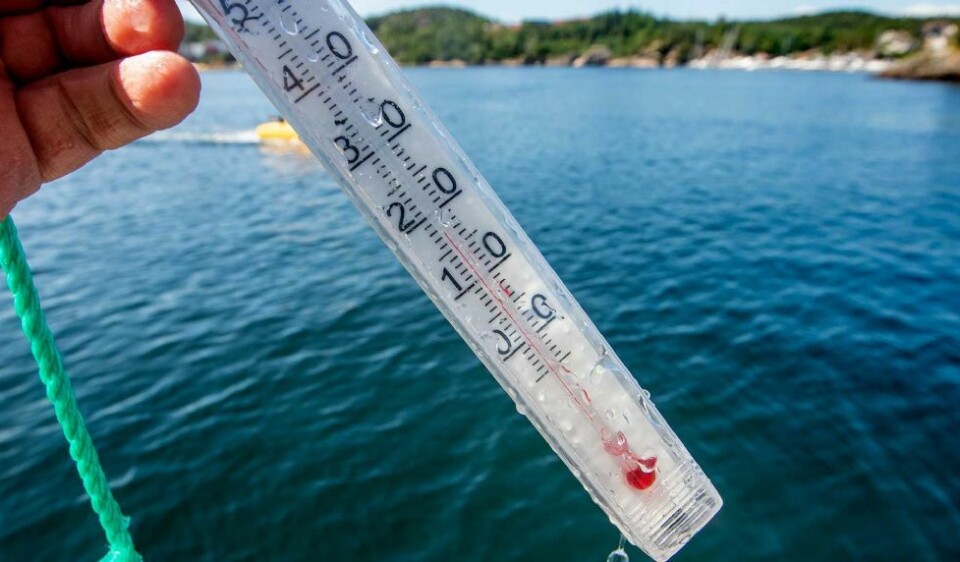 17 grader i vannet: Slik blir helgeværet