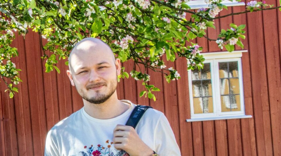 Vikingaktiviteter på prestegården
