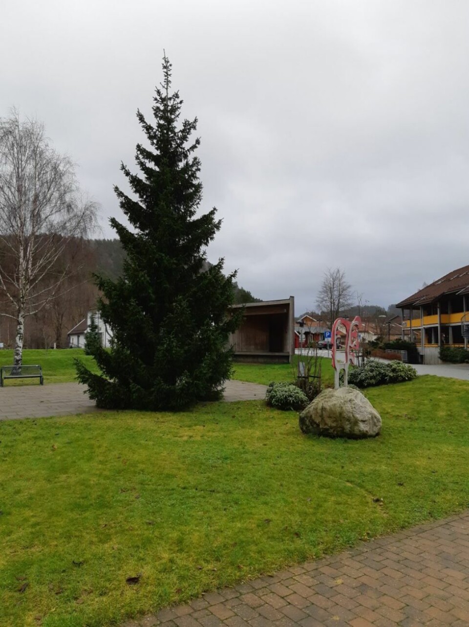 - Dette treet har hatt det godt