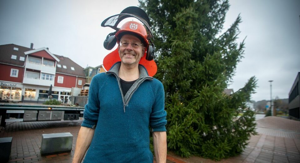 - Dette treet har hatt det godt