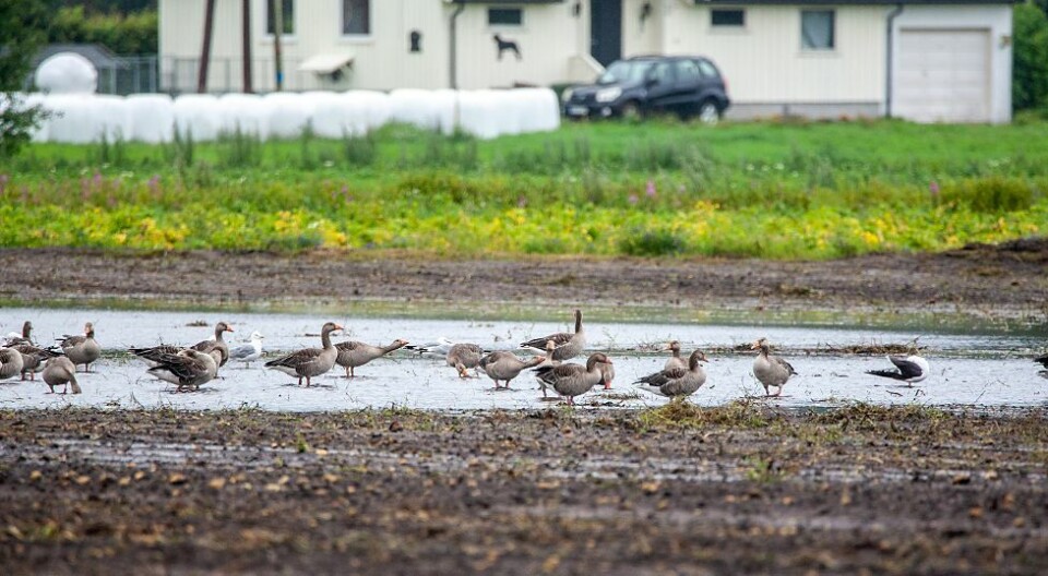 Enda mer regn de kommende dagene