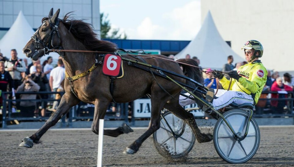 Tjomsland: - En av de beste