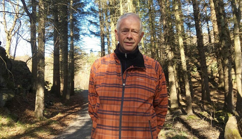 Thomas Birkeli mutters alene i Sitgagranskogen ute på tuppen av Mæbøskogen. Onsdag var han motstander av felling. Fredag snudde han på hælen. (Foto: Arild Hansen).