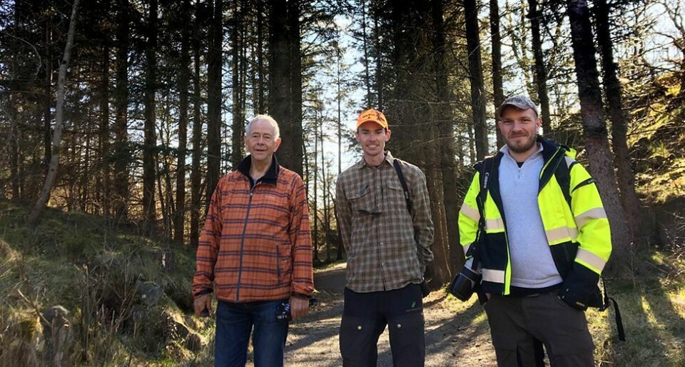 Fellingen av rundt 1.500 sitkatrær er i gang på Flekkerøy