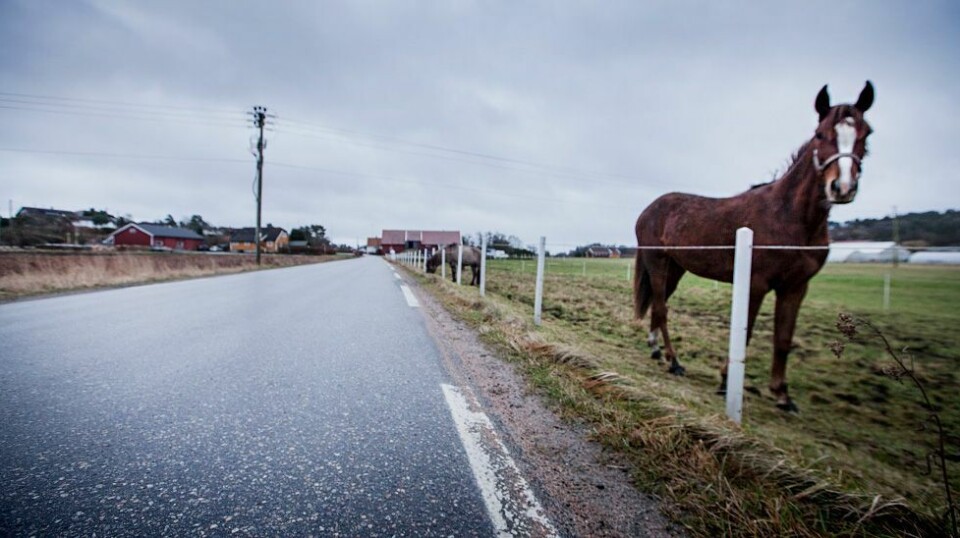 Planlegger ny gang- og sykkelvei