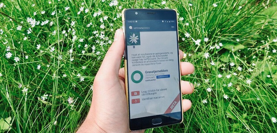 Lanserer ny app: Artsorakelet forteller hvilken art du har funnet