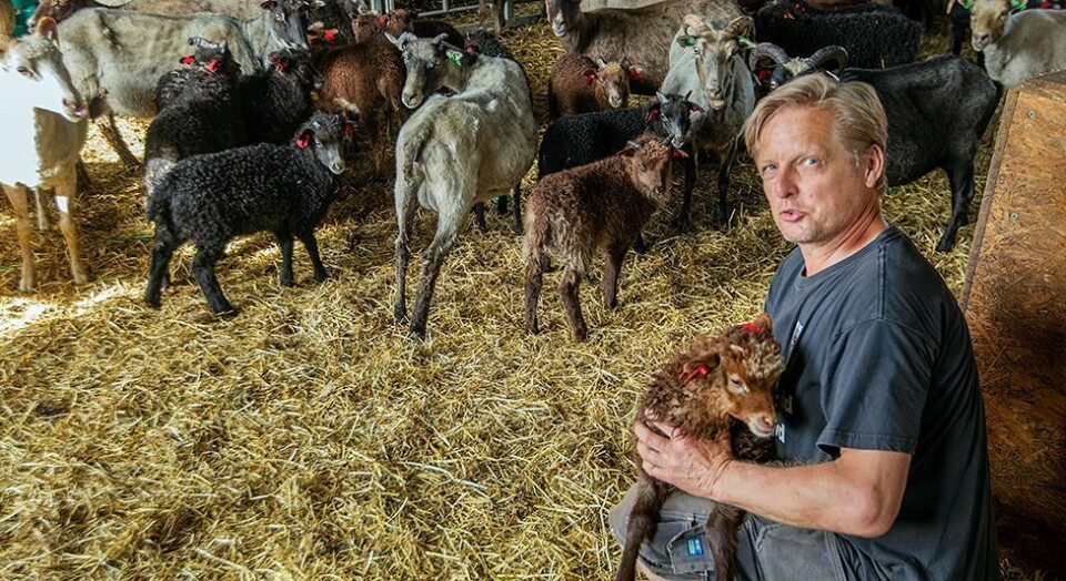 Valgkampen: - Faktiske feil Terje Ø. Pettersen