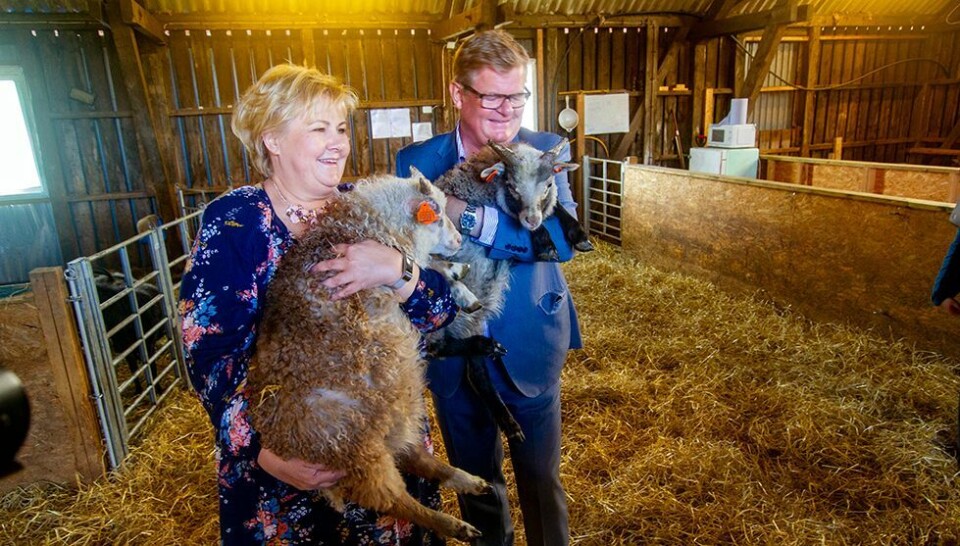 Statsminister Erna Solberg møtte Erna, (4 uker)