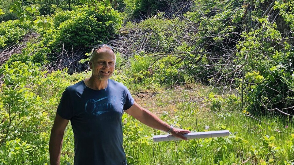 Ny kirkegård på Flekkerøy skal stå ferdig om to år