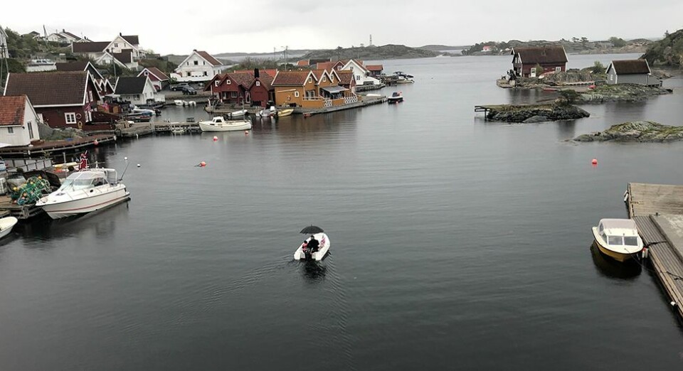 Se bilder fra årets 17. mai-feiring