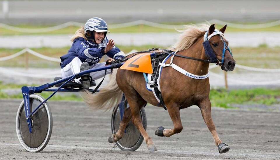 Amalie går i pappas fotspor