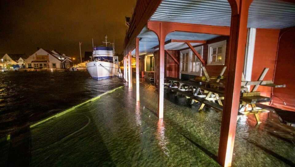 Prognosen for stormfloen ned 11 centimeter