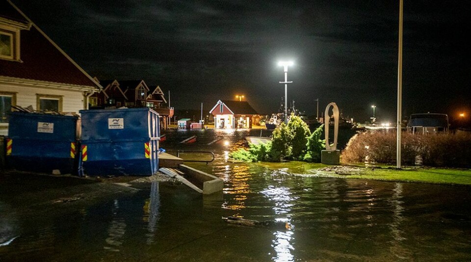 Prognosen for stormfloen ned 11 centimeter