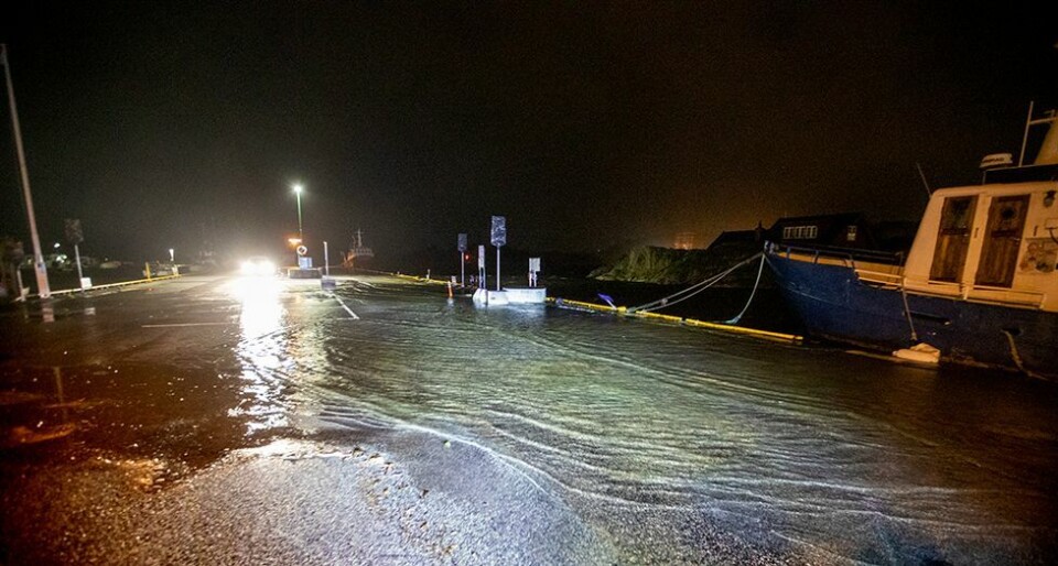 Prognosen for stormfloen ned 11 centimeter