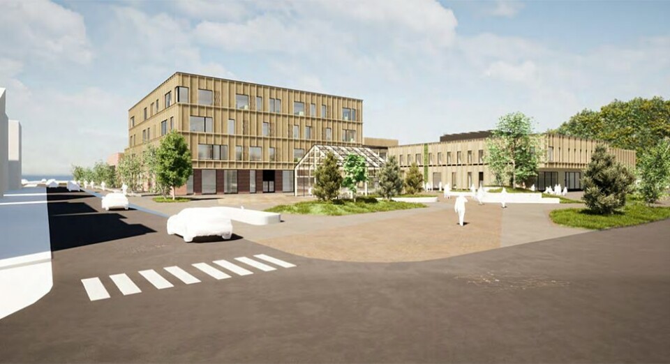 - Man kan jo undres om det virkelig finnes vilje i Kristiansand kommune til å bygge dette skolesenteret