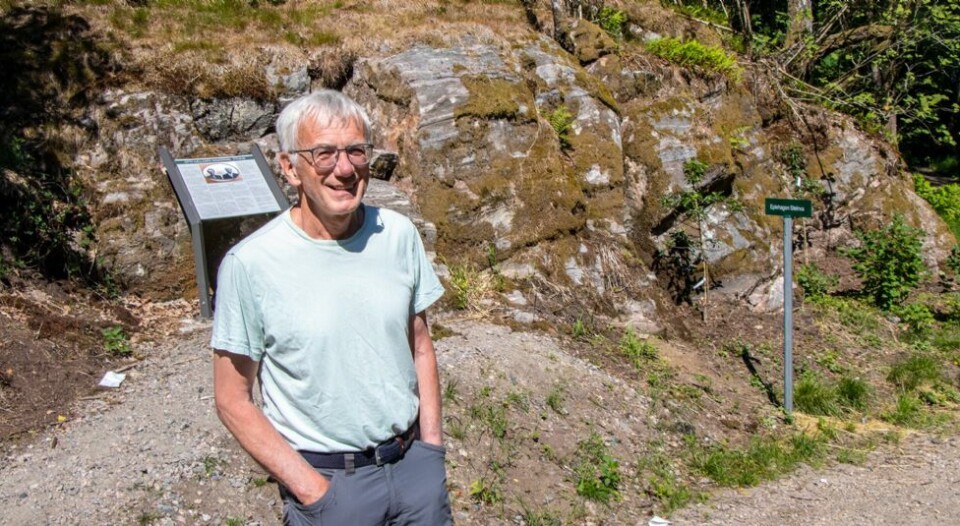 Har restaurert eplehagen Steinva