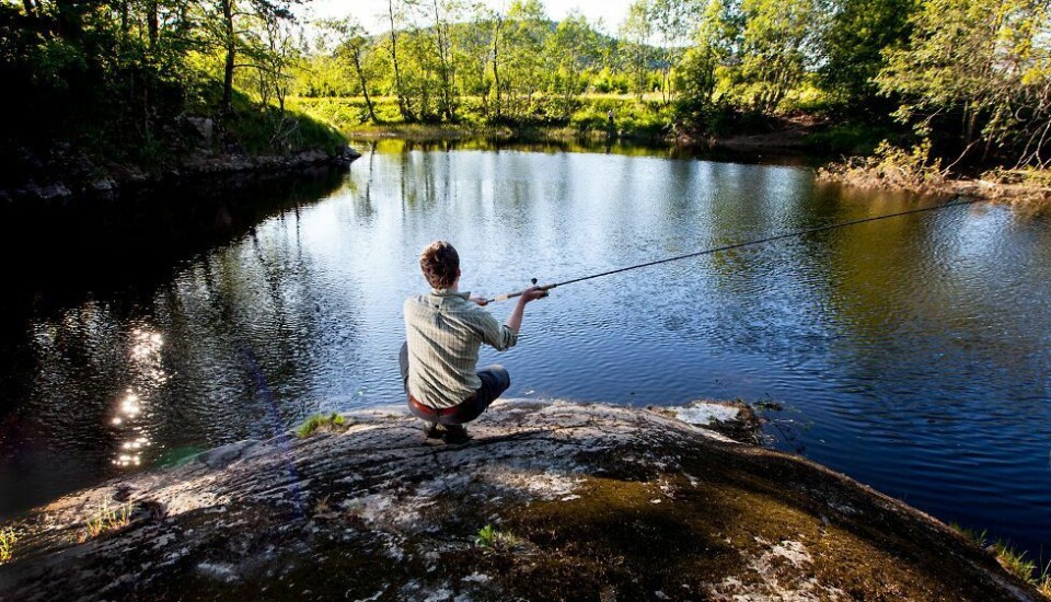 Nytt fantastisk fiskekart for Søgne og Songdalen