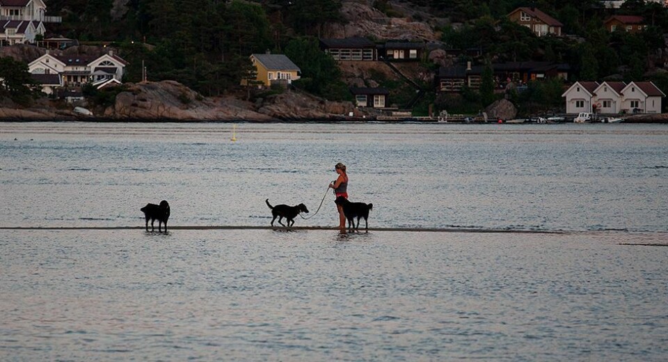 Meldte 28 grader lørdag ettermiddag: Syv timer senere forsvant seks grader