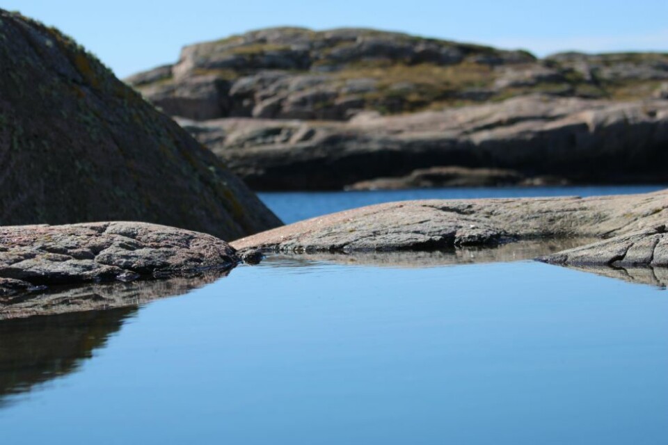 Lesernes sommerbilder 2020: -Vinnerne er kåret