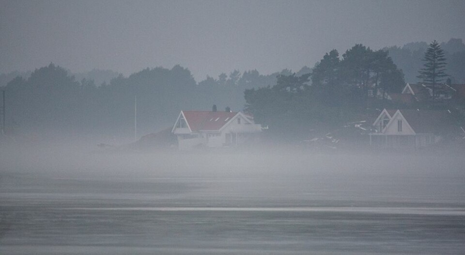 En stille dag. Det blir det mandag også