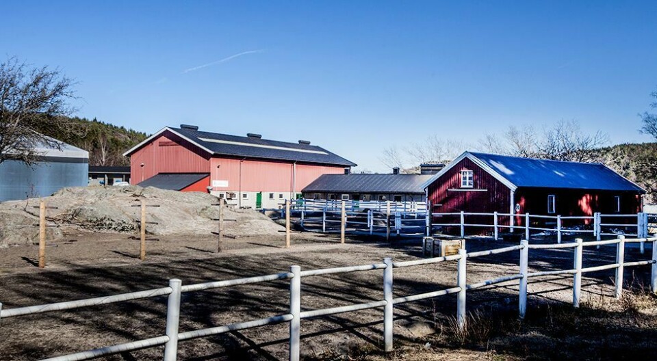 Tema: Fornyer Søgnetunet for 47 millioner kroner